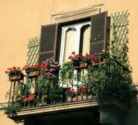 Цветы на балконе: дизайн, новые идеи и фото